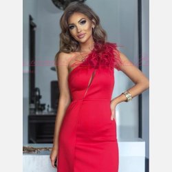 ETHANY-Luksuris Rd Maxi One Shoulder Kjole med Elegante Fjerdetaljer