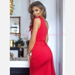 ETHANY-Luksuris Rd Maxi One Shoulder Kjole med Elegante Fjerdetaljer